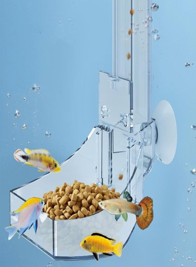 VAYINATO® Clear Acrylic Fixed Point Hanging Fish Food Feeding Tube for Aquarium Fish Tank | Suitable for Bottom Feeder Fish and Shrimp (29 CM) by Petzlifeworld - Image 2